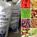 Հայաստանում պարարտանյութն թանկացել է ինչ պետքե անի գյուղացին
