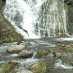 Շուրջ 27 մլն դրամի վնաս՝ ջրային ռեսուրսին. ԲԸՏՄ-ն խախտումներ է արձանագրել «Շաքի» ՓՀԷԿ-ում
